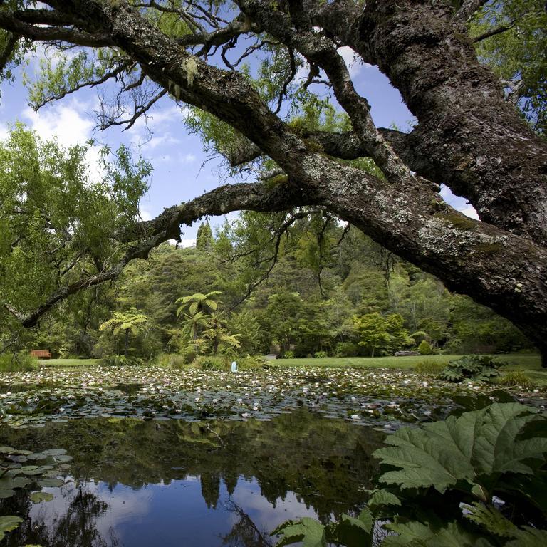 Rapaura Watergardens Bed & Breakfast Tapu Exterior photo