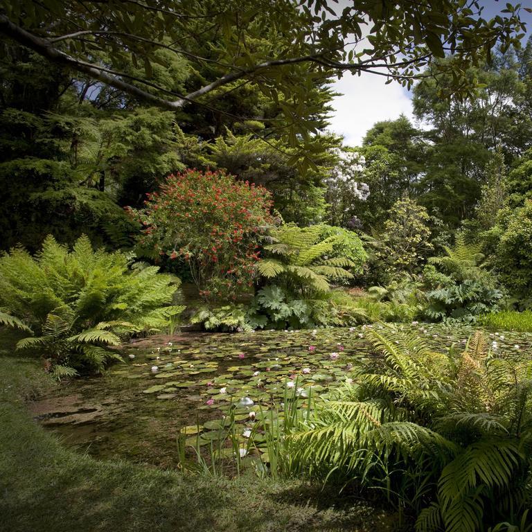 Rapaura Watergardens Bed & Breakfast Tapu Exterior photo