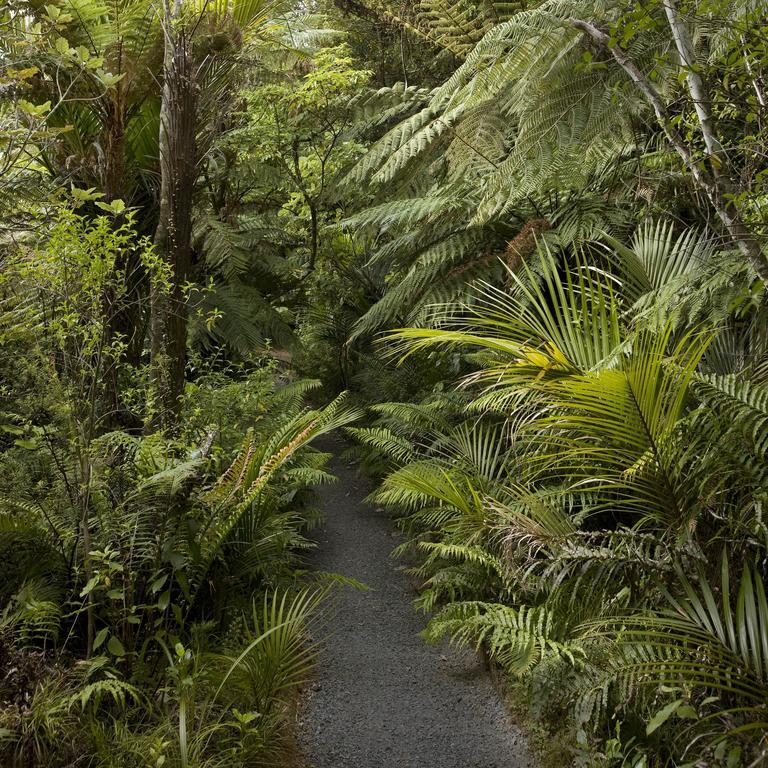 Rapaura Watergardens Bed & Breakfast Tapu Exterior photo